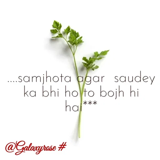 Quote by Galaxyrose - ....samjhota agar  saudey ka bhi ho to bojh hi hai*** - Made using Quotes Creator App, Post Maker App