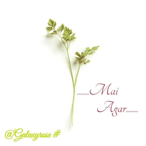 Quote by Galaxyrose - 
......Mai 
              Agar...... - Made using Quotes Creator App, Post Maker App