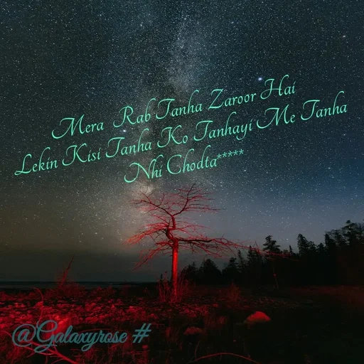 Quote by Galaxyrose - Mera  Rab Tanha Zaroor Hai
 Lekin Kisi Tanha Ko Tanhayi Me Tanha Nhi Chodta***** - Made using Quotes Creator App, Post Maker App