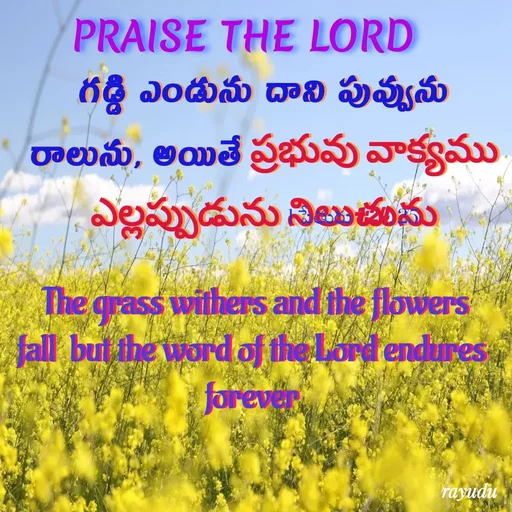 Quote by A B Rayudu -  - Made using Quotes Creator App, Post Maker App