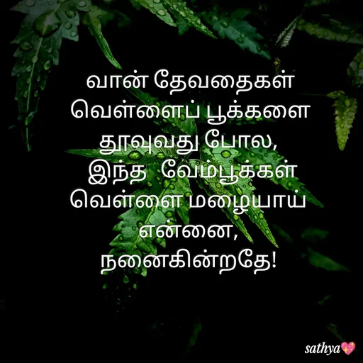 Quote by Sathya Sri489 - வான் தேவதைகள் வெள்ளைப் பூக்களை தூவுவது போல, 
  இந்த   வேம்பூக்கள் 
வெள்ளை மழையாய் 
என்னை, 
நனைகின்றதே!  - Made using Quotes Creator App, Post Maker App