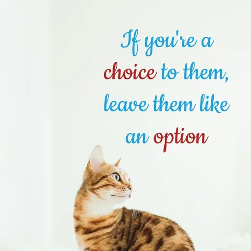 Quote by Hasini KR - If you're a choice to them, leave them like an option - Made using Quotes Creator App, Post Maker App