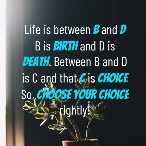 Quote by Hasini KR - Life is between B and D
B is Birth and D is Death. Between B and D is C and that C is Choice
So, choose your choice rightly! - Made using Quotes Creator App, Post Maker App