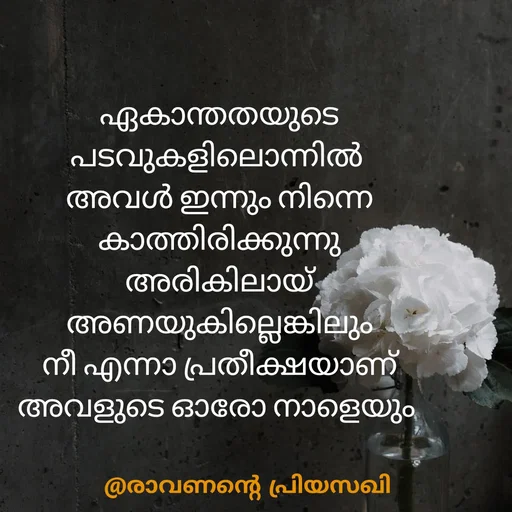 Quote by Adeena Riyas - ഏകാന്തതയുടെ പടവുകളിലൊന്നിൽ 
അവൾ ഇന്നും നിന്നെ
കാത്തിരിക്കുന്നു
അരികിലായ്
അണയുകില്ലെങ്കിലും
നീ എന്നാ പ്രതീക്ഷയാണ്
അവളുടെ ഓരോ നാളെയും  - Made using Quotes Creator App, Post Maker App