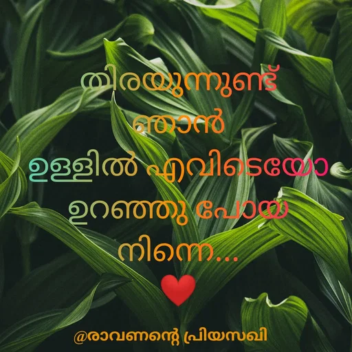 Quote by Adeena Riyas -  - Made using Quotes Creator App, Post Maker App