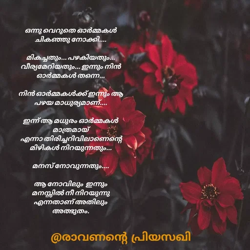 Quote by Adeena Riyas - ഒന്നു വെറുതെ ഓർമ്മകൾ ചികഞ്ഞു നോക്കി....

മികച്ചതും... പഴകിയതും... വീര്യമേറിയതും... ഇന്നും നിൻ ഓർമ്മകൾ തന്നെ...

നിൻ ഓർമ്മകൾക്ക് ഇന്നും ആ പഴയ മാധുര്യമാണ്....

ഇന്ന് ആ മധുരം ഓർമ്മകൾ മാത്രമായ്
 എന്നാ തിരിച്ചറിവിലാണെന്റെ മിഴികൾ നിറയുന്നതും...

മനസ് നോവുന്നതും....

ആ നോവിലും  ഇന്നും മനസ്സിൽ നീ നിറയുന്നു എന്നതാണ് അതിലും അത്ഭുതം. - Made using Quotes Creator App, Post Maker App