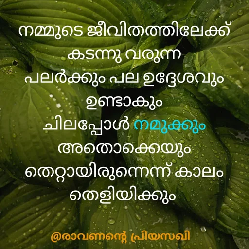 Quote by Adeena Riyas - നമ്മുടെ ജീവിതത്തിലേക്ക്
കടന്നു വരുന്ന
പലർക്കും പല ഉദ്ദേശവും ഉണ്ടാകും
ചിലപ്പോൾ നമുക്കും
അതൊക്കെയും
തെറ്റായിരുന്നെന്ന് കാലം തെളിയിക്കും  - Made using Quotes Creator App, Post Maker App