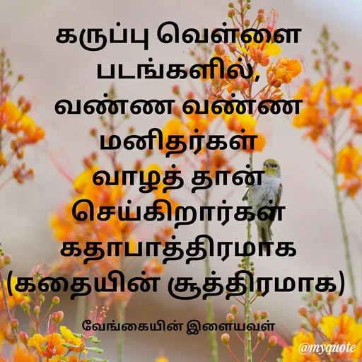 Quote by ௧லைமணி. இரா - கருப்பு வெள்ளை படங்களில்,                 வண்ண வண்ண மனிதர்கள்                      வாழத் தான் செய்கிறார்கள்  ௧தாபாத்திரமாக (௧தையின் சூத்திரமாக) 

வேங்கையின் இளையவள் - Made using Quotes Creator App, Post Maker App