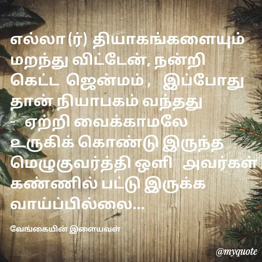 Quote by ௧லைமணி. இரா - ௭ல்லா (ர்)  தியாகங்களையும் மறந்து விட்டேன், நன்றி கெட்ட  ஜென்மம் ,    இப்போது தான் நியாபகம் வந்தது   -   ஏற்றி வைக்காமலே  ௨ருகிக் கொண்டு இருந்த மெழுகுவர்த்தி ஒளி   ௮வர்கள் கண்ணில் பட்டு இருக்க வாய்ப்பில்லை... 

வேங்கையின் இளையவள் - Made using Quotes Creator App, Post Maker App
