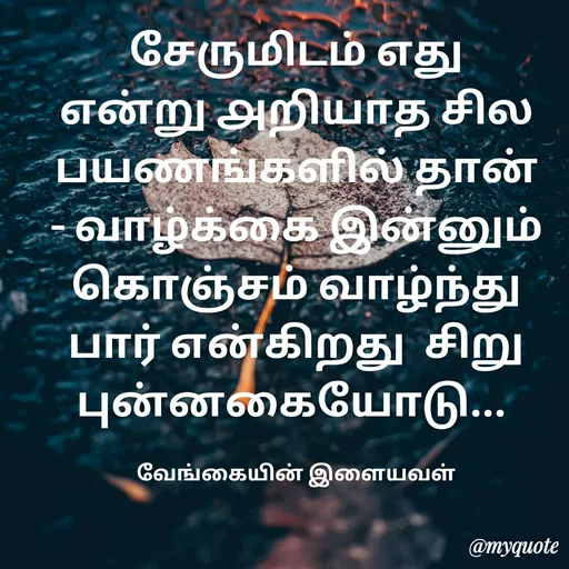 Quote by ௧லைமணி. இரா - சேருமிடம் ௭து ௭ன்று ௮றியாத சில  பயணங்களில் தான் - வாழ்க்கை இன்னும் கொஞ்சம் வாழ்ந்து பார் என்கிறது  சிறு புன்னகையோடு... 

வேங்கையின் இளையவள் - Made using Quotes Creator App, Post Maker App