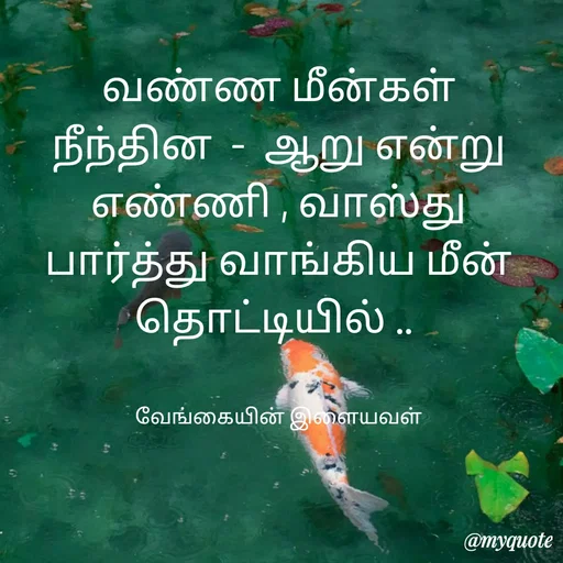 Quote by ௧லைமணி. இரா - வண்ண மீன்கள் நீந்தின  -  ஆறு ௭ன்று ௭ண்ணி , வாஸ்து பார்த்து வாங்கிய மீன் தொட்டியில் .. 


வேங்கையின் இளையவள் - Made using Quotes Creator App, Post Maker App