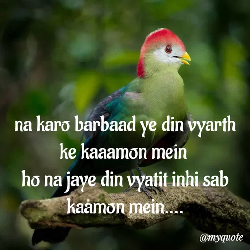 Quote by minni - na karo barbaad ye din vyarth ke kaaamon mein 
ho na jaye din vyatit inhi sab kaamon mein.... - Made using Quotes Creator App, Post Maker App