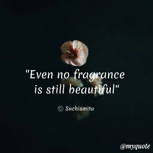 Quote by Suchismita -  - Made using Quotes Creator App, Post Maker App