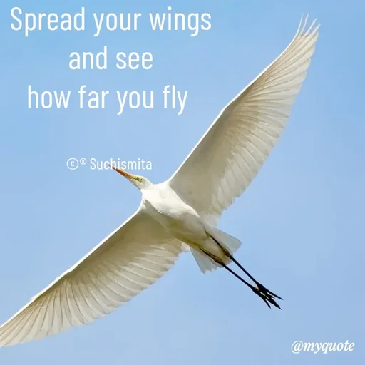Quote by Suchismita - Spread your wings
and see
how far you fly 


©® Suchismita  - Made using Quotes Creator App, Post Maker App