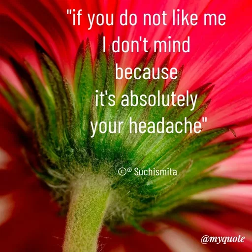 Quote by Suchismita - "if you do not like me 
I don't mind 
because 
it's absolutely 
your headache"


©® Suchismita  - Made using Quotes Creator App, Post Maker App