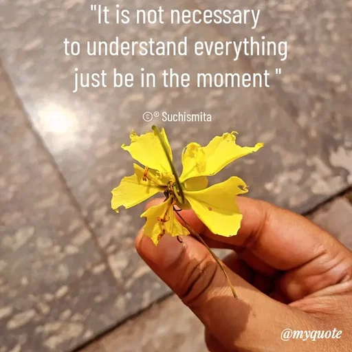Quote by Suchismita - "It is not necessary 
to understand everything 
just be in the moment "

©® Suchismita  - Made using Quotes Creator App, Post Maker App