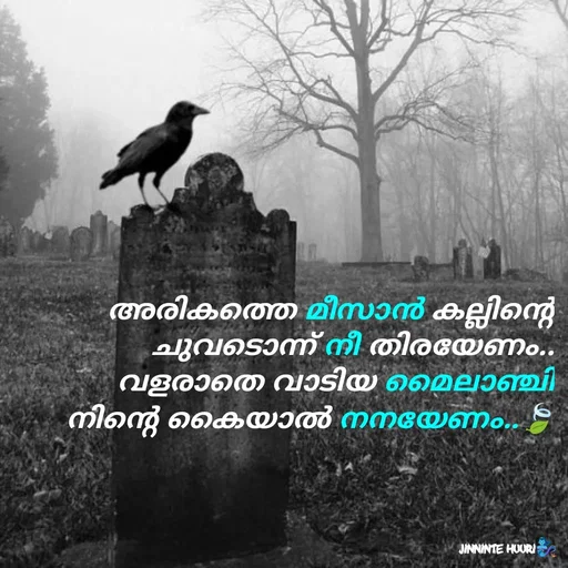 Quote by 𝖏𝖎𝖓𝖓𝖎𝖓𝖙𝖊 𝖍𝖚𝖚𝖗𝖎 - അരികത്തെ മീസാൻ കല്ലിന്റെ
ചുവടൊന്ന് നീ തിരയേണം..
വളരാതെ വാടിയ മൈലാഞ്ചി
 നിന്റെ കൈയാൽ നനയേണം..🍃 - Made using Quotes Creator App, Post Maker App