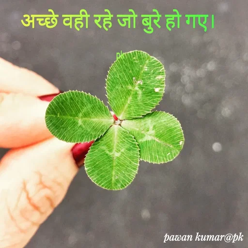 Quote by Pawan Kumar -  - Made using Quotes Creator App, Post Maker App
