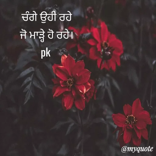 Quote by Pawan Kumar -  - Made using Quotes Creator App, Post Maker App