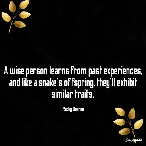 Quote by Rucky Ryan -  - Made using Quotes Creator App, Post Maker App