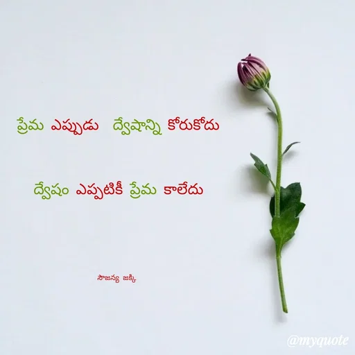 Quote by quotes - ప్రేమ ఎప్పుడు  ద్వేషాన్ని కోరుకోదు
 ద్వేషం ఎప్పటికీ ప్రేమ కాలేదు 

సౌజన్య జక్కి  - Made using Quotes Creator App, Post Maker App
