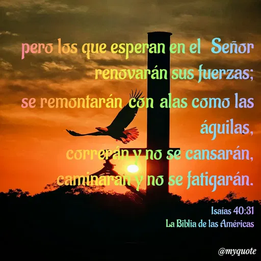 Quote by Freddy Agüero -  - Made using Quotes Creator App, Post Maker App