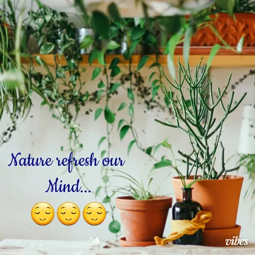 Quote by Deep🖐Dipti ... - Nature refresh our 
Mind...
😌😌😌 - Made using Quotes Creator App, Post Maker App