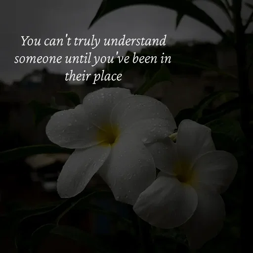 Quote by Strong_willed_girl -  - Made using Quotes Creator App, Post Maker App