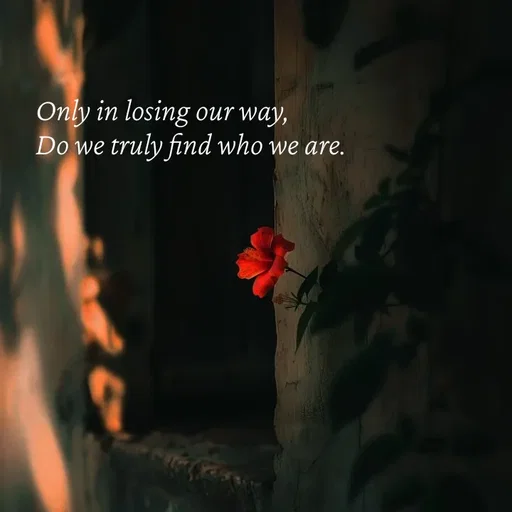 Quote by Strong_willed_girl -  - Made using Quotes Creator App, Post Maker App