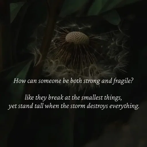 Quote by Strong_willed_girl - How can someone be both strong and fragile?

like they break at the smallest things,
 yet stand tall when the storm destroys everything. - Made using Quotes Creator App, Post Maker App