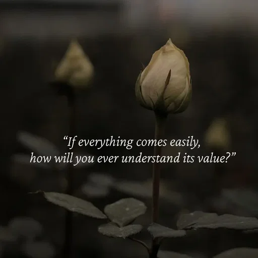 Quote by Strong_willed_girl - “If everything comes easily, 
how will you ever understand its value?” - Made using Quotes Creator App, Post Maker App