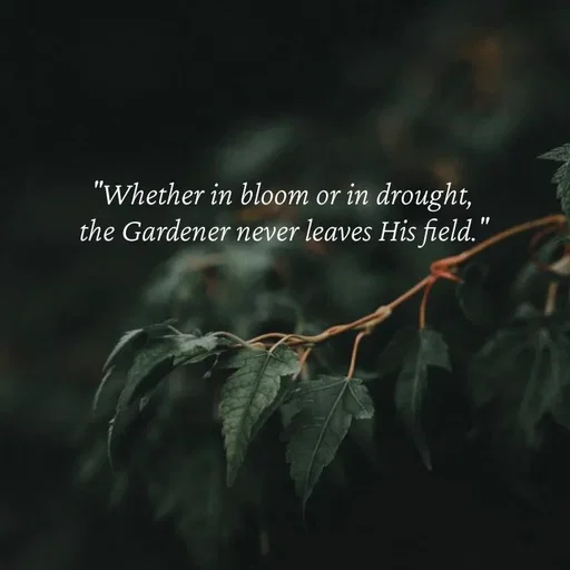 Quote by Strong_willed_girl - "Whether in bloom or in drought, 
the Gardener never leaves His field." - Made using Quotes Creator App, Post Maker App