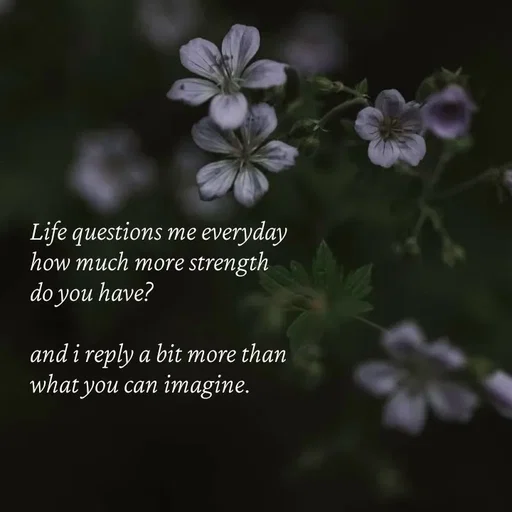 Quote by Strong_willed_girl -  - Made using Quotes Creator App, Post Maker App