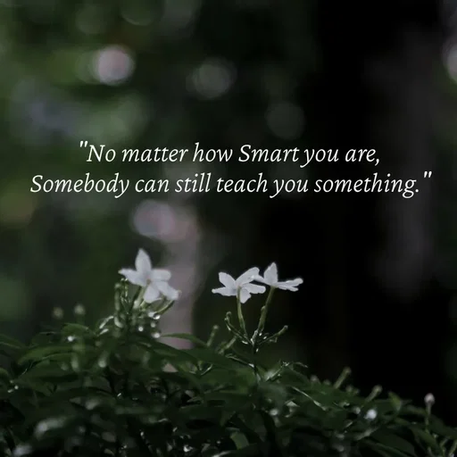 Quote by Strong_willed_girl -  - Made using Quotes Creator App, Post Maker App