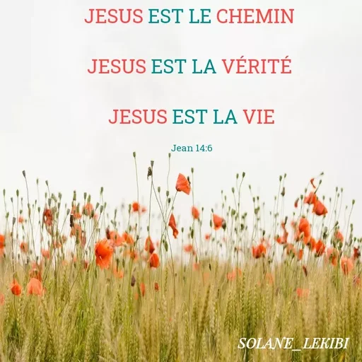 Quote by Solane LEKIBI - JESUS EST LE CHEMIN 

JESUS EST LA VÉRITÉ 

JESUS EST LA VIE

Jean 14:6 - Made using Quotes Creator App, Post Maker App