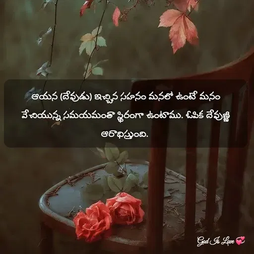 Quote by Venny - ఆయన (దేవుడు) ఇచ్చిన సహనం మనలో ఉంటే మనం వేచియున్న సమయమంతా స్థిరంగా ఉంటాము. ఓపిక దేవుణ్ణి ఆరాధిస్తుంది.  - Made using Quotes Creator App, Post Maker App