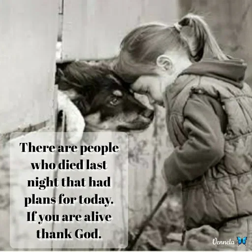 Quote by Venny - There are people who died last night that had plans for today. If you are alive thank God. - Made using Quotes Creator App, Post Maker App