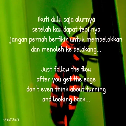 Quote by Irna Yusnita - Ikuti dulu saja alurnya
setelah kau dapat tepi nya
jangan pernah berfikir untuk membelokkan
dan menoleh ke belakang...

Just follow the flow
after you get the edge
don't even think about turning
and looking back...
 - Made using Quotes Creator App, Post Maker App