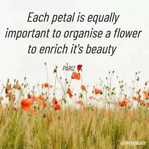 Quote by parinita - Each petal is equally  important to organise a flower to enrich it's beauty 

PARIZ🌹 - Made using Quotes Creator App, Post Maker App