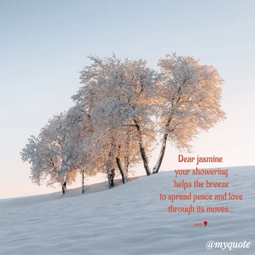 Quote by parinita - Dear jasmine 
your showering
helps the breeze
to spread peace and love
through its moves...

pariz🌹 - Made using Quotes Creator App, Post Maker App