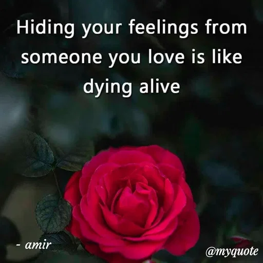 Quote by Amir Lama - - amir - Made using Quotes Creator App, Post Maker App