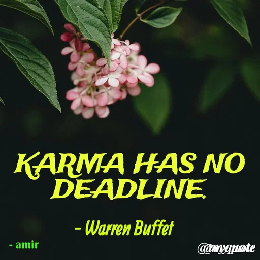 Quote by Amir Lama - - amir - Made using Quotes Creator App, Post Maker App