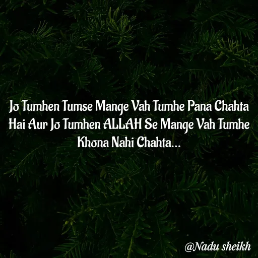 Quote by Nadu Sheikh - Jo Tumhen Tumse Mange Vah Tumhe Pana Chahta Hai Aur Jo Tumhen ALLAH Se Mange Vah Tumhe Khona Nahi Chahta... - Made using Quotes Creator App, Post Maker App
