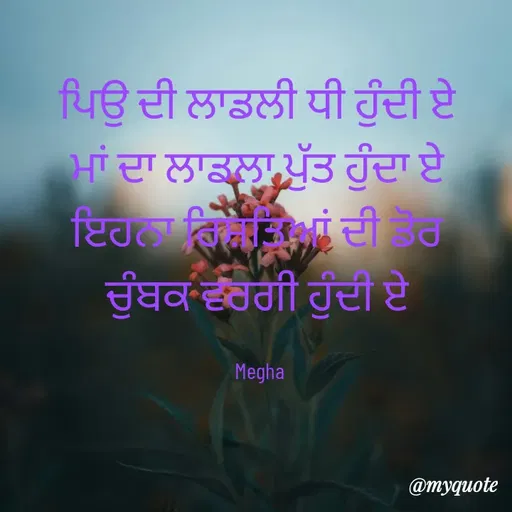 Quote by Megha - ਪਿਉ ਦੀ ਲਾਡਲੀ ਧੀ ਹੁੰਦੀ ਏ 
ਮਾਂ ਦਾ ਲਾਡਲਾ ਪੁੱਤ ਹੁੰਦਾ ਏ 
ਇਹਨਾ ਰਿਸ਼ਤਿਆਂ ਦੀ ਡੋਰ 
ਚੁੰਬਕ ਵਰਗੀ ਹੁੰਦੀ ਏ 

Megha  - Made using Quotes Creator App, Post Maker App