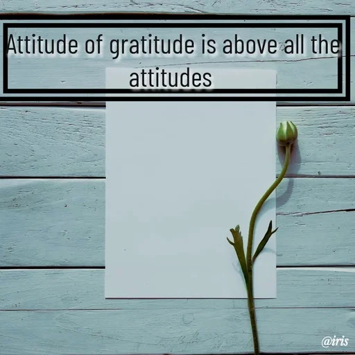 Quote by Iris - Attitude of gratitude is above all the attitudes  - Made using Quotes Creator App, Post Maker App