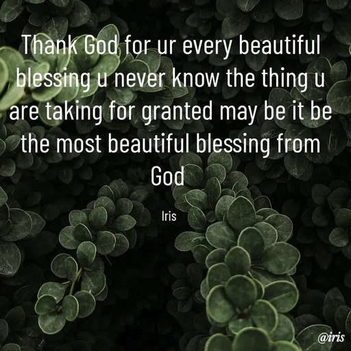 Quote by Iris - Thank God for ur every beautiful blessing u never know the thing u are taking for granted may be it be the most beautiful blessing from God 

Iris  - Made using Quotes Creator App, Post Maker App