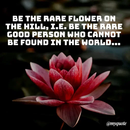 Quote by Kavana naik - Be the rare flower on the hill, i.e. be the rare good person who cannot be found in the world... - Made using Quotes Creator App, Post Maker App