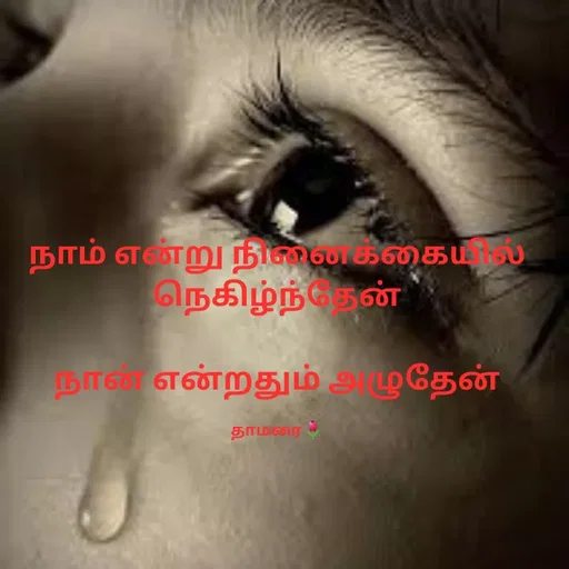 Quote by Thamarai Selvi - நாம் என்று நினைக்கையில்
நெகிழ்ந்தேன்

நான் என்றதும் அழுதேன்

தாமரை🌷 - Made using Quotes Creator App, Post Maker App