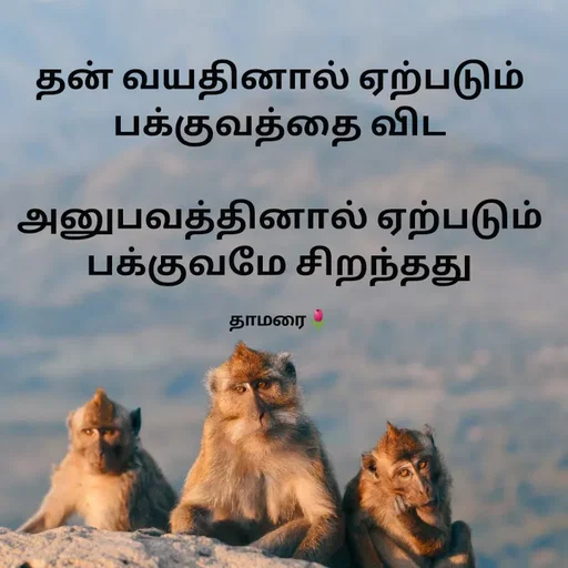 Quote by Thamarai Selvi - 

தன் வயதினால் ஏற்படும் பக்குவத்தை விட

அனுபவத்தினால் ஏற்படும் பக்குவமே சிறந்தது

தாமரை🌷 - Made using Quotes Creator App, Post Maker App