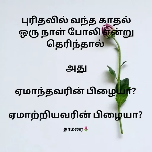 Quote by Thamarai Selvi - புரிதலில் வந்த காதல் ஒரு நாள் போலி என்று தெரிந்தால் 

அது

ஏமாந்தவரின் பிழையா? 

ஏமாற்றியவரின் பிழையா? 

தாமரை🌷 - Made using Quotes Creator App, Post Maker App